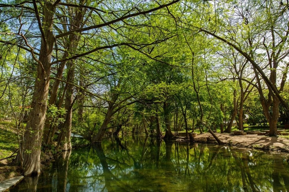 Blue Hole Regional Park Wimberley