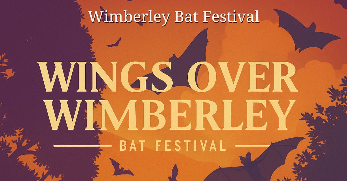 Wimberley Bat Festival
