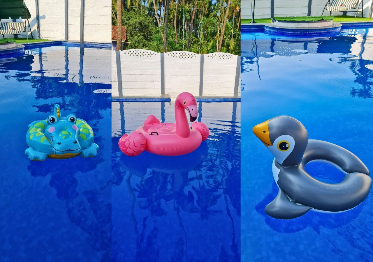 Floater toys in pool, a green crocodile floater, a pink swan floater and grey duck floater.