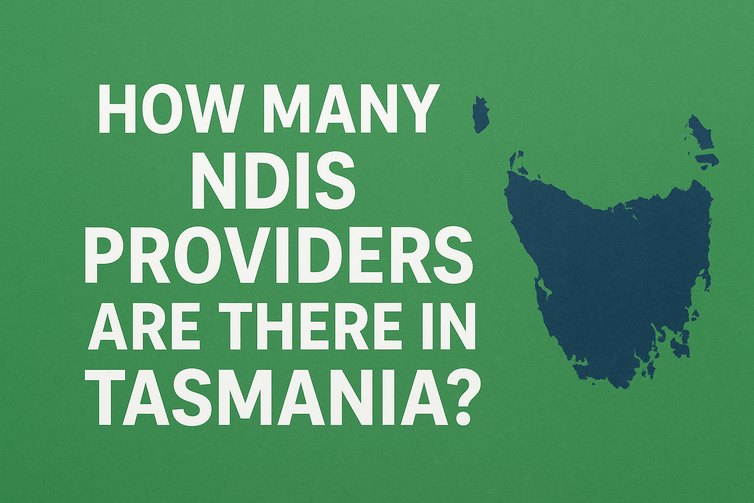 How many NDIS providers are there in Tasmania