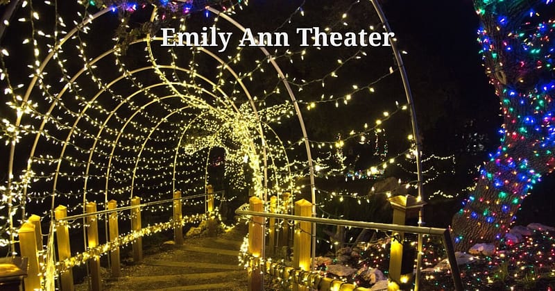 Emily Ann Theater 2025 Guide