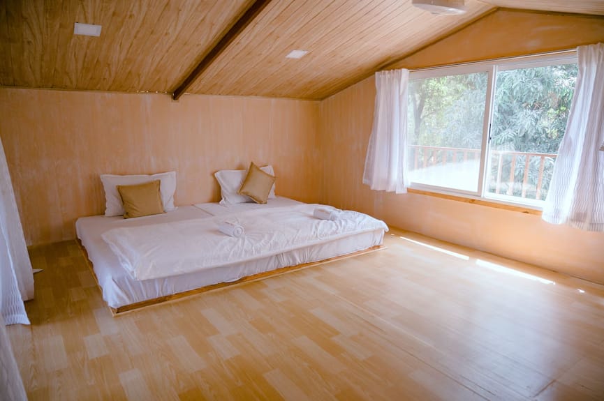 6 Amazing Pet-Friendly Villas in Alibag | Ultimate 2026 Guide 5 image 26